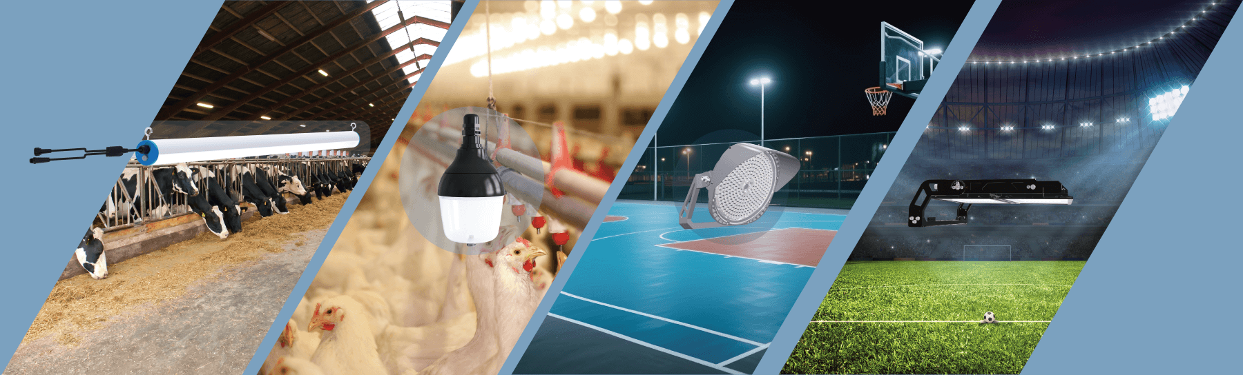 Best Solutions For LED Poultry Lighting