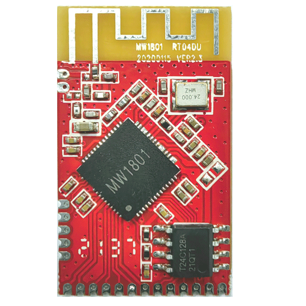 2.4G Wireless Audio Module (RT03 / RT04)